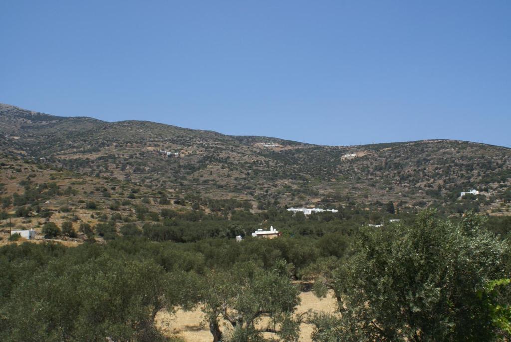 Villa Antoniadis Platis Gialos  Exterior photo